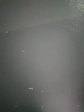 Snapshot of kamasutra20 chatting on 12/19/25, 01:01 kamasutra20 online show from 12/19/25, 01:01