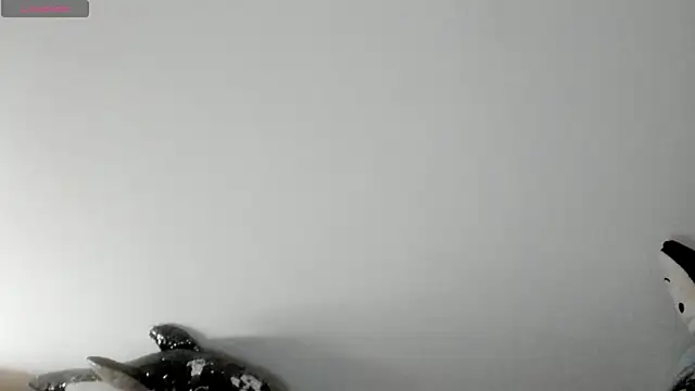 Snapshot of queen_fetish chatting on 01/08/26, 02:30 queen fetish online show from 01/08/26, 02:30