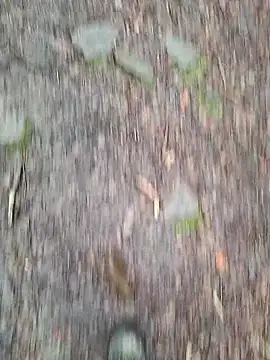 FreezingTie850 online show from 03/10/26, 02:33