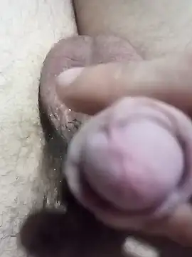 El22 1431 online show from 12/22/24, 04:06