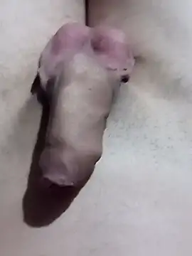 El22 1431 online show from 01/17/25, 04:39