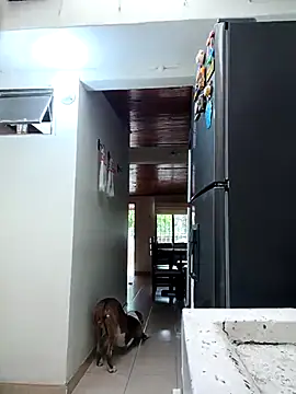 sebasxx97 online show from 02/11/26, 11:59