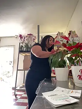 PUSHYLATE online show from 12/19/25, 06:04