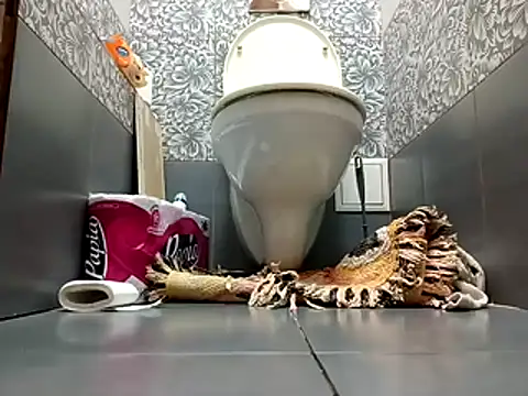 zsd off online show from 11/08/25, 12:27