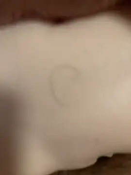 Snapshot of Beijing2000 chatting on 11/08/25, 12:55 Beijing2000 online show from 11/08/25, 12:55