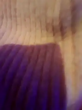 AsStraightAsARuler online show from 12/03/25, 05:04