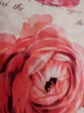 Snapshot of xxcatwomanxx chatting on 01/31/25, 06:03 xxcatwomanxx online show from 01/31/25, 06:03