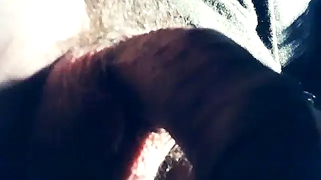 wedge75 online show from 02/08/25, 10:29