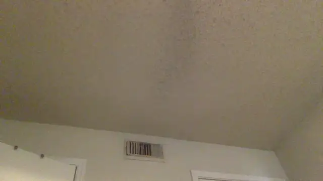 GForceSavage online show from 02/25/26, 06:17