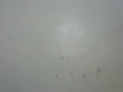 Rasta tattooed online show from 02/06/26, 10:46