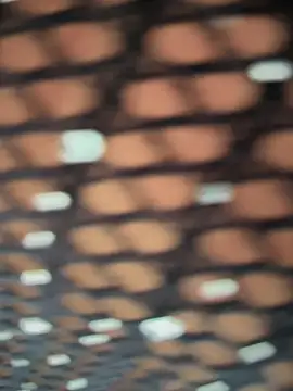 Rose-euphoria online show from 11/05/25, 01:44