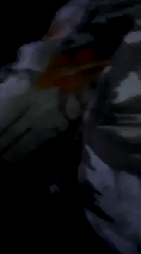 Bite spectaculaire online show from 02/03/25, 01:19