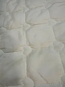 Annabody online show from 11/14/25, 08:02