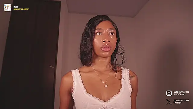 Snapshot of connie_west0 chatting on 01/29/25, 10:32 connie west0 online show from 01/29/25, 10:32