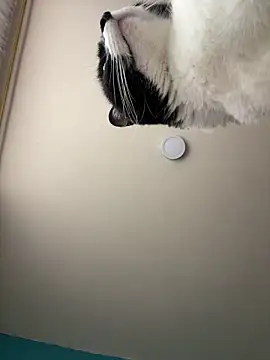 Kimmymadison- online show from 01/15/26, 09:07