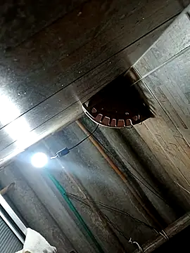 Snapshot of Restrepo300 chatting on 10/03/25, 11:13 Restrepo300 online show from 10/03/25, 11:13