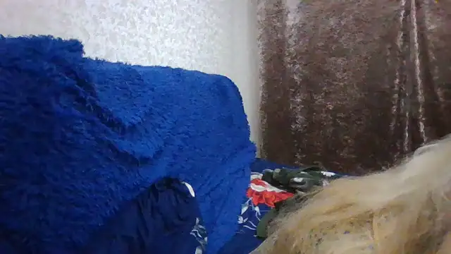 CarlyTreat online show from 11/30/25, 04:00