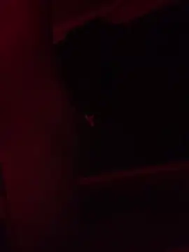 trash4cash online show from 02/09/25, 11:25