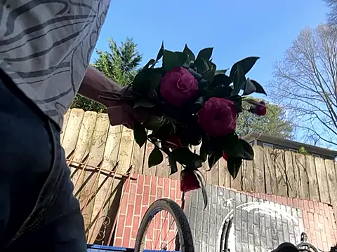 trash4cash online show from 03/07/25, 09:06