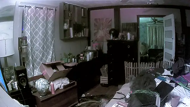 trash4cash online show from 03/13/26, 04:19