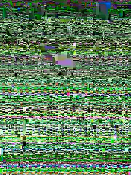 Snehameowwxh online show from 11/21/25, 04:16