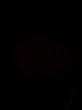 ySqmbVanbe online show from 03/31/26, 03:08