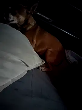 FloppyPickle4u online show from 02/28/25, 04:31