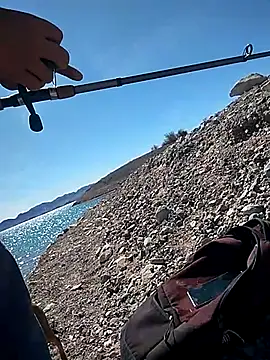 FloppyPickle4u online show from 03/04/25, 07:43