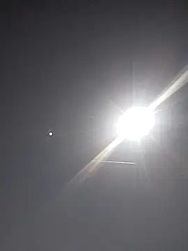 FloppyPickle4u online show from 03/15/25, 08:10