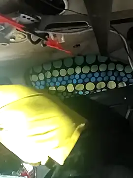 FloppyPickle4u online show from 03/06/26, 03:36