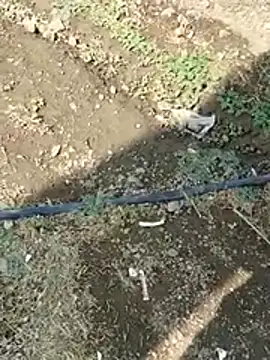 DADDY69SS online show from 02/08/26, 08:51