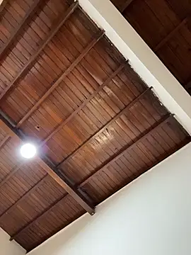 emiss  online show from 02/01/26, 02:37