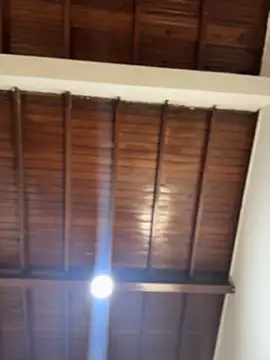 emiss  online show from 02/05/26, 03:05