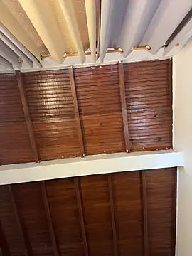 emiss  online show from 04/04/26, 04:04