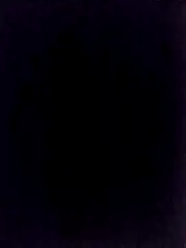 Snapshot of BongChannel chatting on 01/01/25, 11:40 BongChannel online show from 01/01/25, 11:40