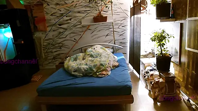 Snapshot of BongChannel chatting on 01/02/25, 02:57 BongChannel online show from 01/02/25, 02:57