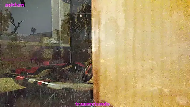 Snapshot of BongChannel chatting on 01/21/25, 06:43 BongChannel online show from 01/21/25, 06:43