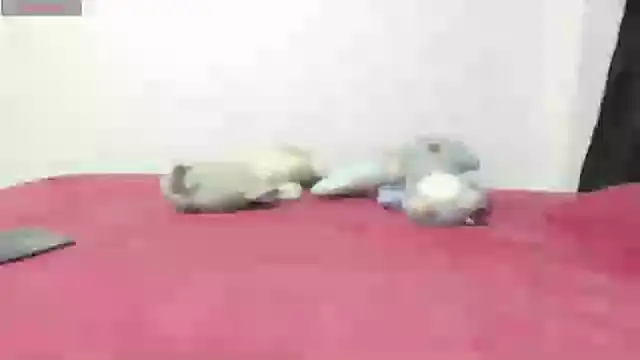 Snapshot of Mayte_sexy chatting on 02/21/25, 12:16 Mayte sexy online show from 02/21/25, 12:16