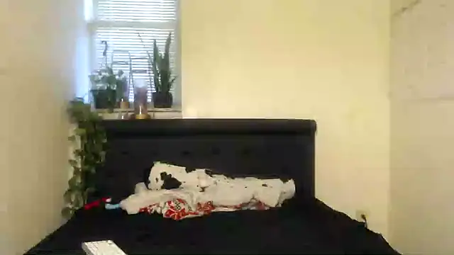 Snapshot of vixenpaisley2 chatting on 12/07/24, 03:04 vixenpaisley2 online show from 12/07/24, 03:04