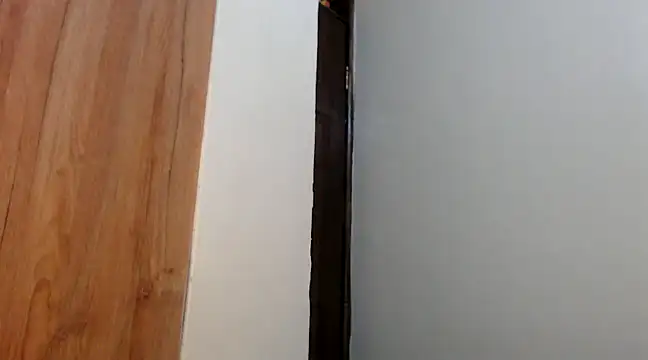 wetpussy ebony online show from 02/09/25, 06:22