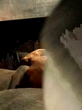 Snapshot of xWhoreAbleX_Pika chatting on 03/06/25, 12:43 xWhoreAbleX Pika online show from 03/06/25, 12:43