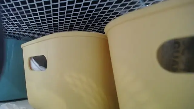 lovense test04 online show from 02/27/26, 07:30