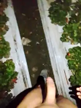 Snapshot of dfff125ff chatting on 11/13/25, 05:39 dfff125ff online show from 11/13/25, 05:39