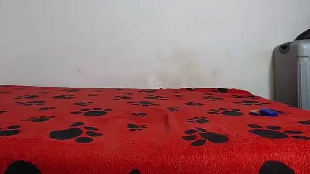 Snapshot of Amazing12inch chatting on 02/12/25, 07:55 Amazing12inch online show from 02/12/25, 07:55