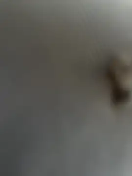 eveangelll online show from 03/22/25, 08:08