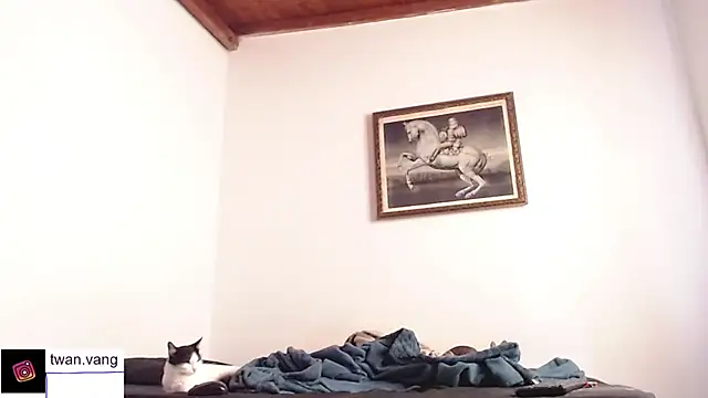 Trix fiore oficial online show from 11/14/25, 03:55