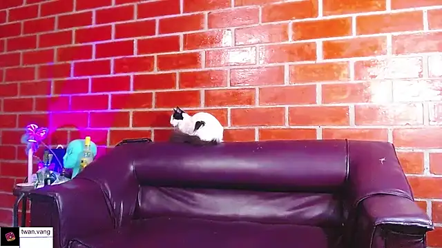 Trix fiore oficial online show from 03/22/26, 10:46