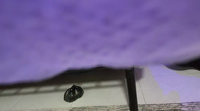 sweet-greedy online show from 02/06/25, 05:19