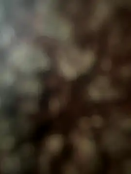 Snapshot of FrutenFratenR9 chatting on 11/11/25, 11:21 FrutenFratenR9 online show from 11/11/25, 11:21