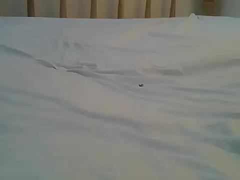 Snapshot of Mercydiva chatting on 02/09/26, 07:23 Mercydiva online show from 02/09/26, 07:23